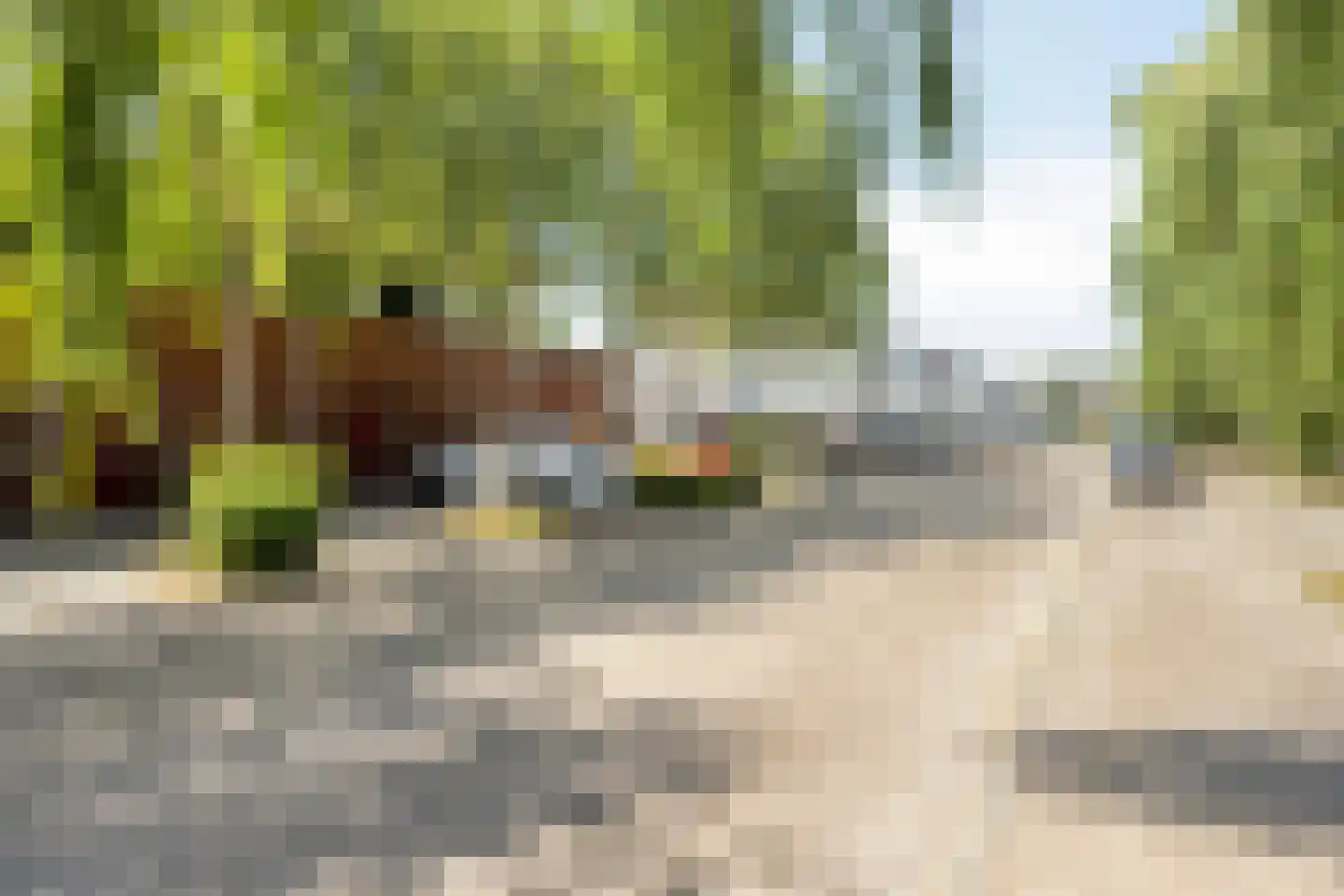 Maarheezepark 31 Tilburg thumbnail 9