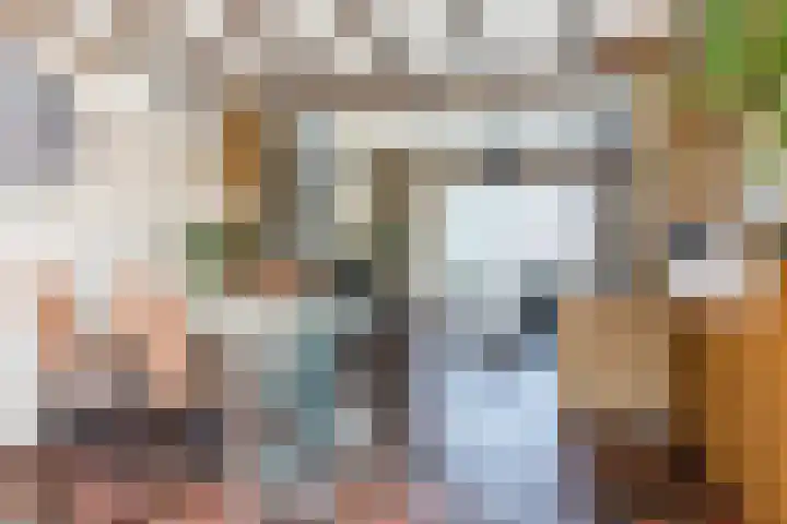 Maarheezerweg 12 Budel thumbnail 10