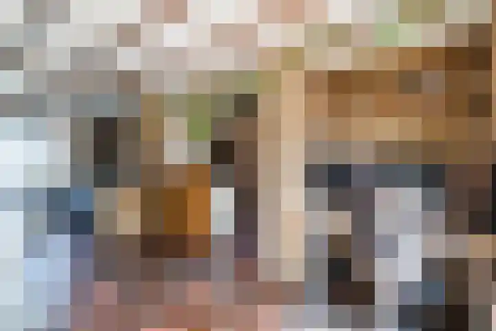 Maarheezerweg 12 Budel thumbnail 12