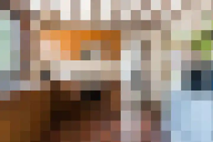 Maarheezerweg 12 Budel thumbnail 14