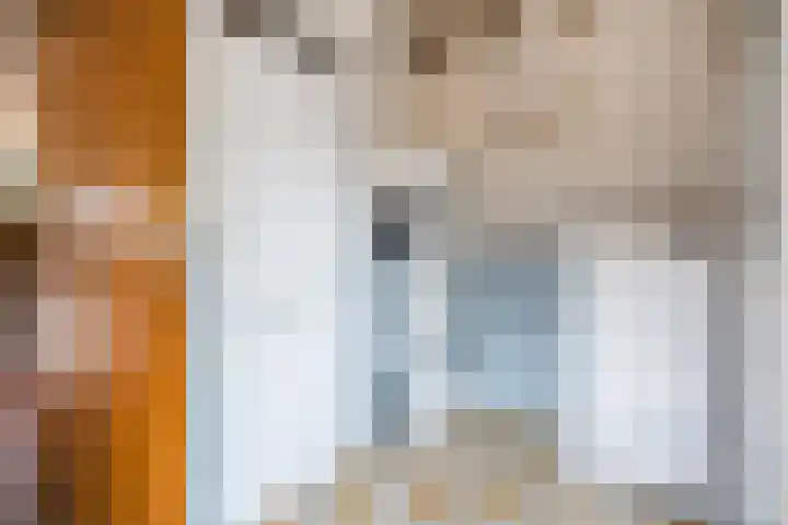 Maarheezerweg 12 Budel thumbnail 15