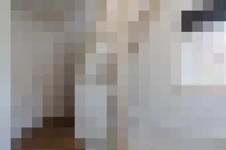 Maarheezerweg 12 Budel thumbnail 17