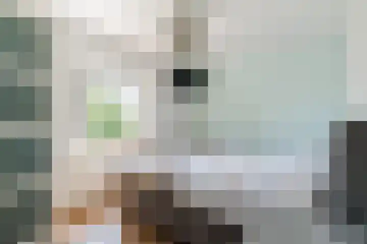 Maarheezerweg 12 Budel thumbnail 18