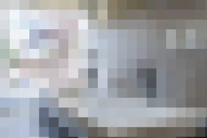 Maarheezerweg 12 Budel thumbnail 23