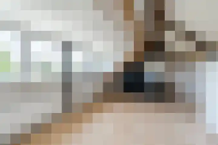 Maarheezerweg 12 Budel thumbnail 25