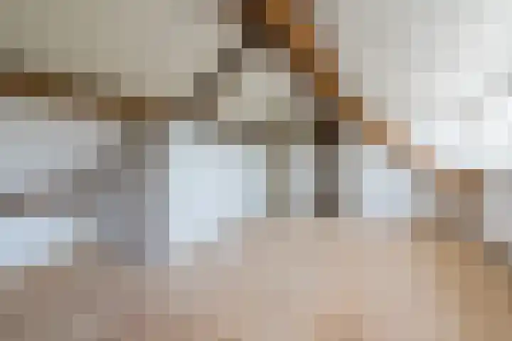 Maarheezerweg 12 Budel thumbnail 26