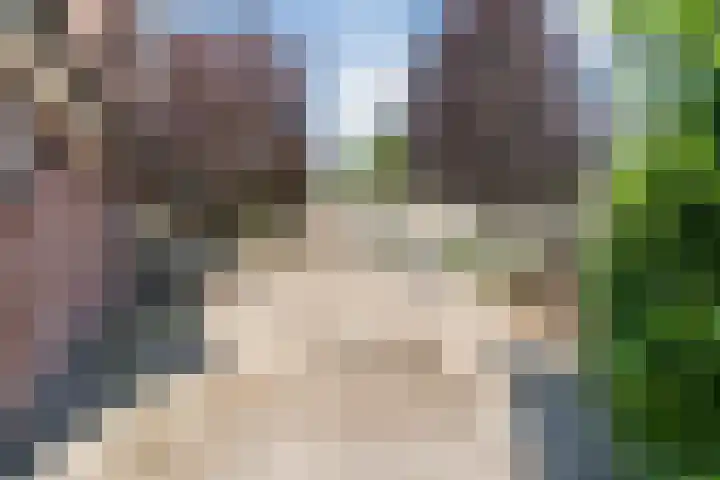 Maarheezerweg 12 Budel thumbnail 27