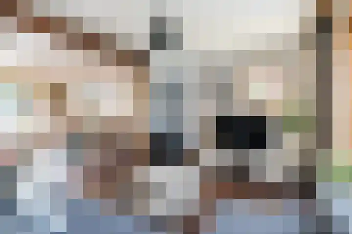 Maarheezerweg 12 Budel thumbnail 5