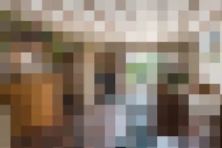 Maarheezerweg 12 Budel thumbnail 8