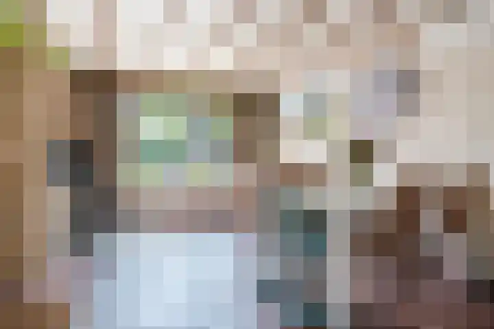 Maarheezerweg 12 Budel thumbnail 9