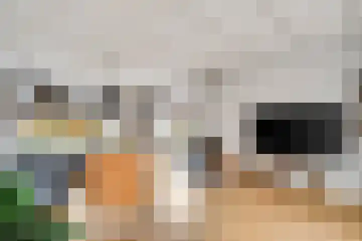 Maarheezerweg 5 a Budel thumbnail 12