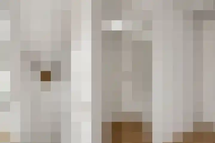 Maarheezerweg 5 a Budel thumbnail 21