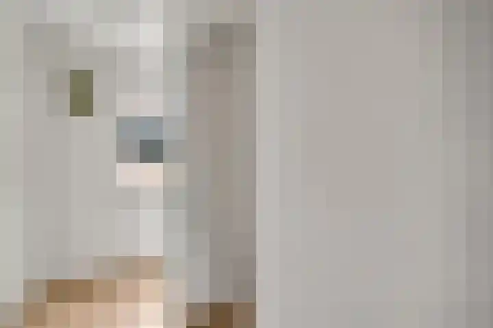 Maarheezerweg 5 a Budel thumbnail 22