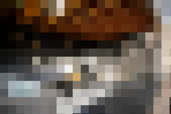 Maarheezerweg 5 a Budel thumbnail 37