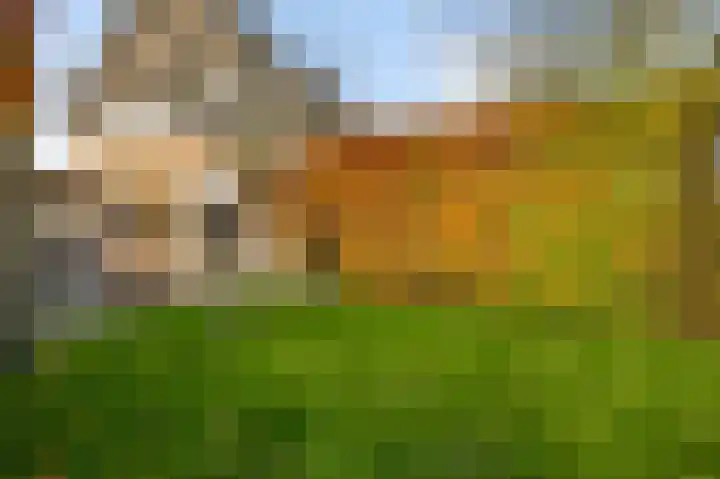 Maarheezerweg 5 a Budel thumbnail 38