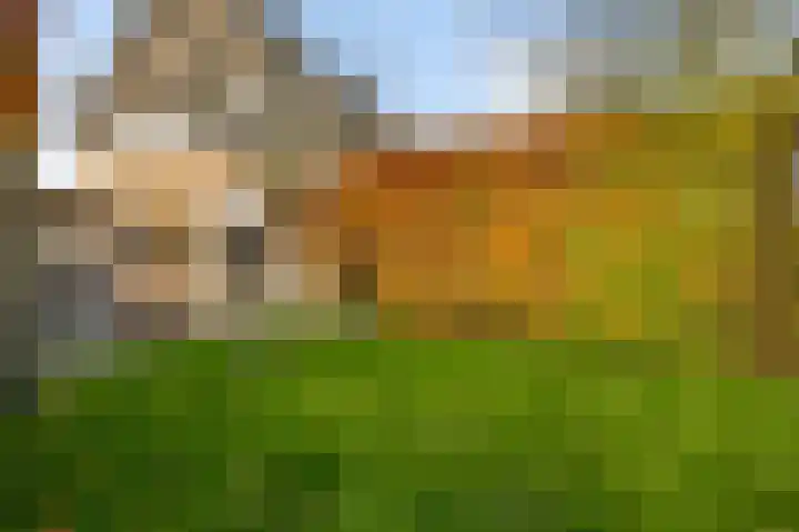 Maarheezerweg 5 a Budel thumbnail 6