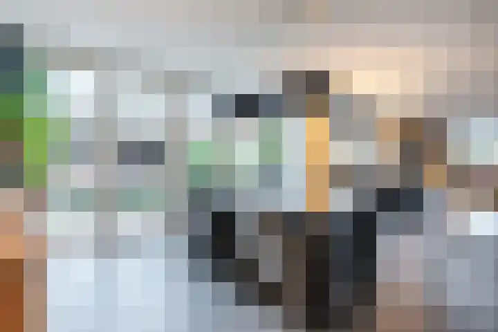 Maarheezerweg 5 Budel thumbnail 14