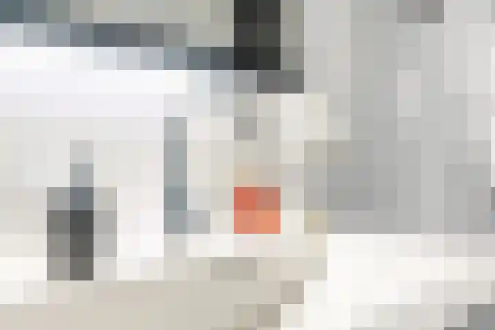 Maarheezerweg 5 Budel thumbnail 24