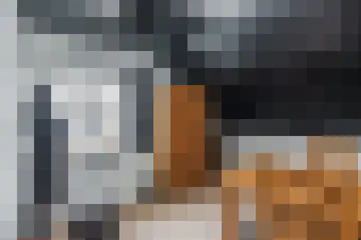 Maarheezerweg 5 Budel thumbnail 30
