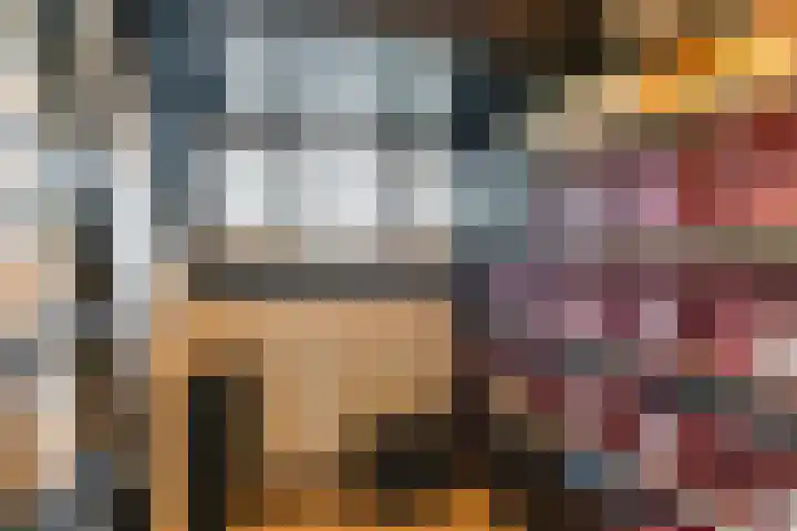 Maarheezerweg 5 Budel thumbnail 31