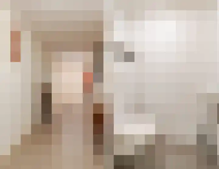 Maarheezerweg 5 Budel thumbnail 40
