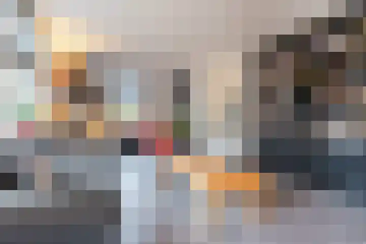 Maarheezerweg 5 Budel thumbnail 8