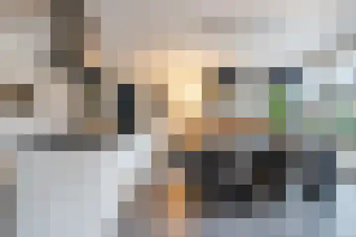 Maarheezerweg 5 Budel thumbnail 9