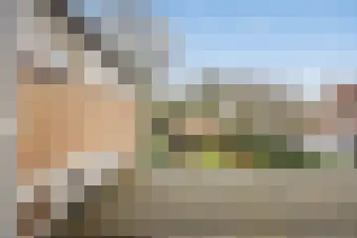 Maarland Noordzijde 12 Brielle thumbnail 35