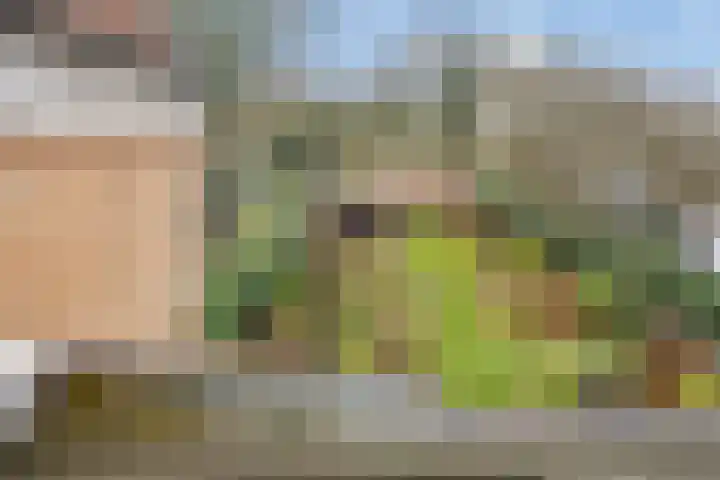 Maarland Noordzijde 12 Brielle thumbnail 37