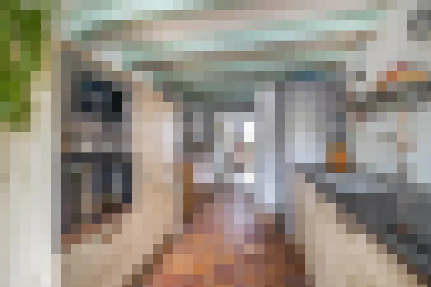 Maarland Noordzijde 7 Brielle thumbnail 10