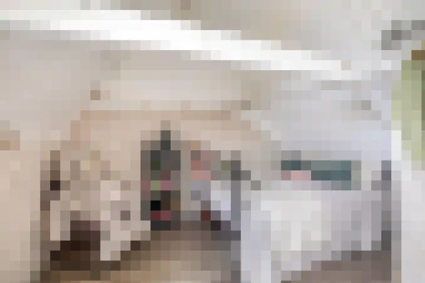 Maarland Noordzijde 7 Brielle thumbnail 20