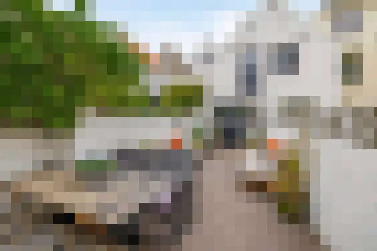 Maarland Noordzijde 7 Brielle thumbnail 5