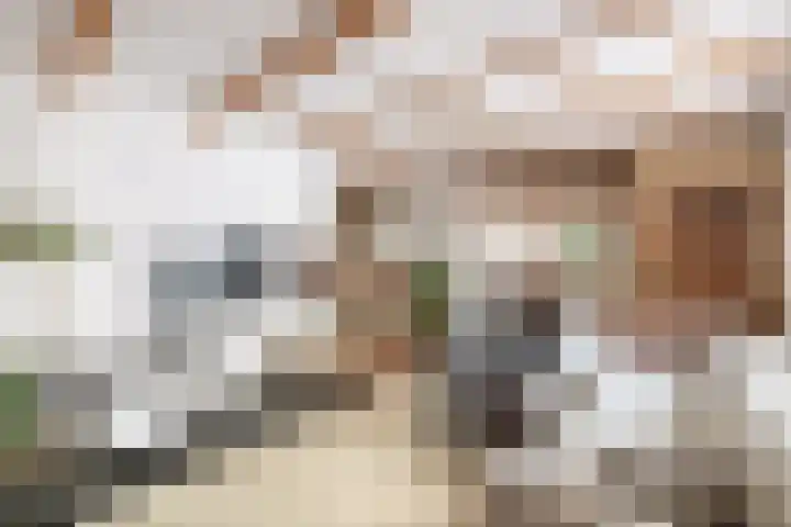 Maarland Noordzijde 98 Brielle thumbnail 11
