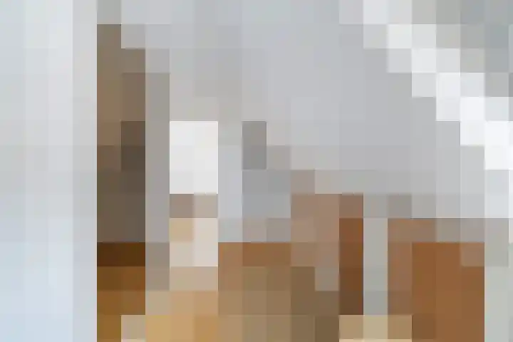 Maarland Noordzijde 98 Brielle thumbnail 19