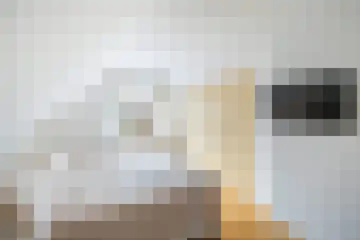 Maarland Noordzijde 98 Brielle thumbnail 21