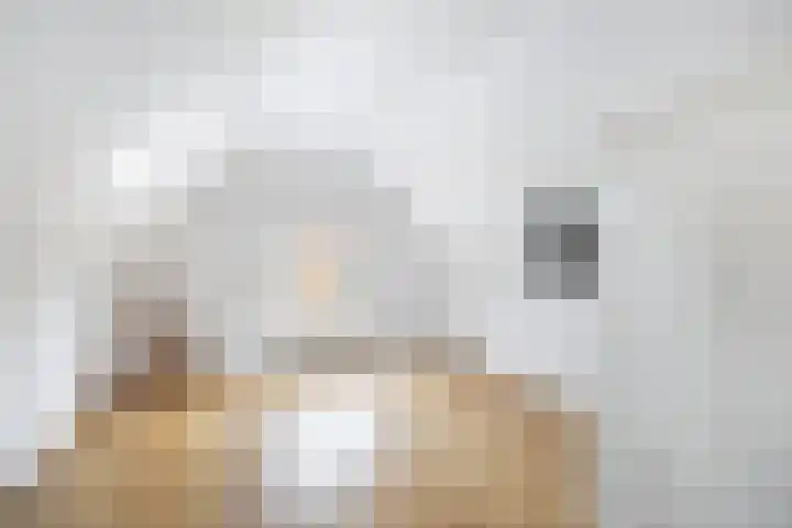 Maarland Noordzijde 98 Brielle thumbnail 23