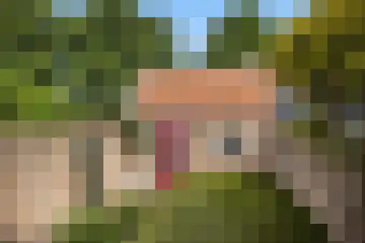 Maarland Noordzijde 98 Brielle thumbnail 27