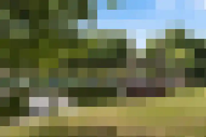 Maarland Noordzijde 98 Brielle thumbnail 32