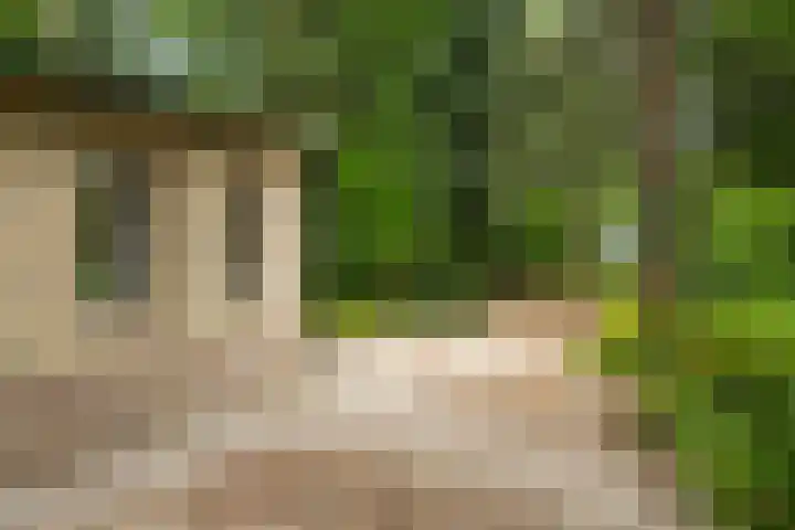 Maarnse Bergweg 1 r 56 Doorn thumbnail 24