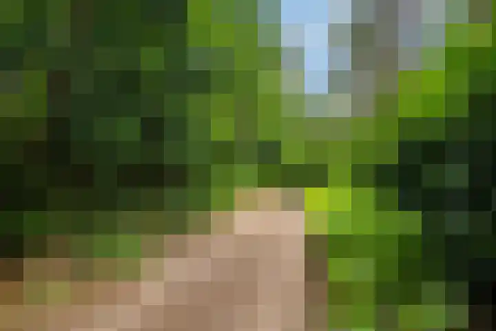 Maarnse Bergweg 1 r 56 Doorn thumbnail 25