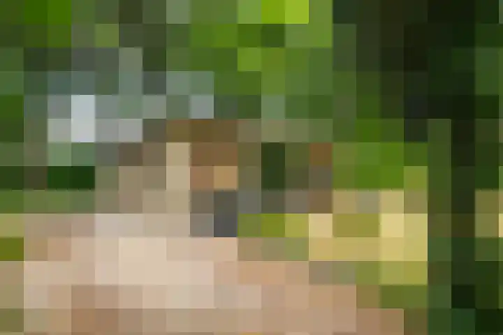 Maarnse Bergweg 1 r 56 Doorn thumbnail 5