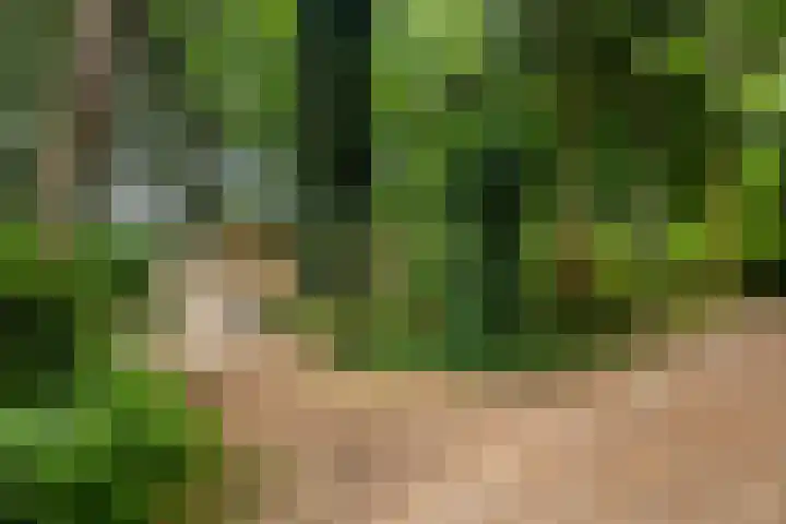 Maarnse Bergweg 1 r 56 Doorn thumbnail 7