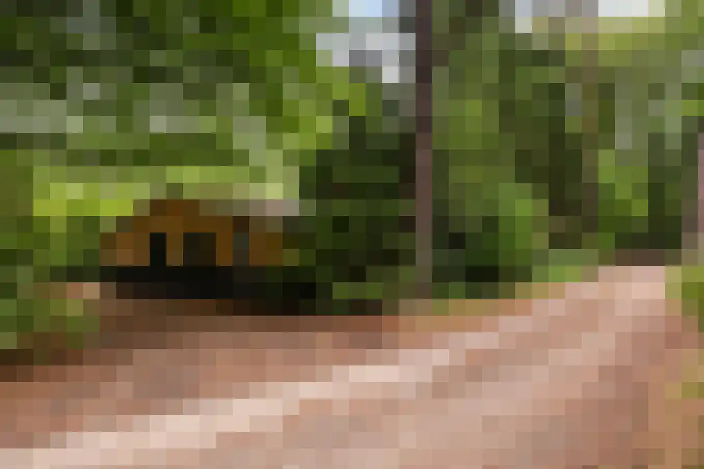 Maarnse Bergweg 1 r 72 Doorn thumbnail 22