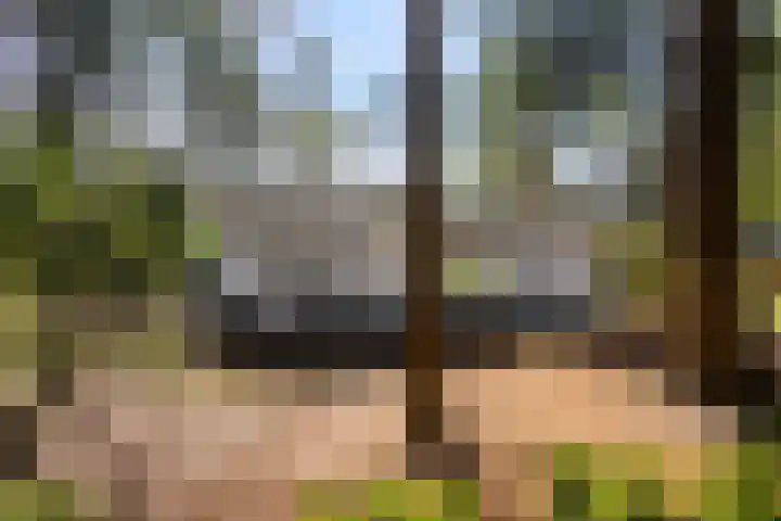 Maarnse Bergweg 1 r 77 Doorn thumbnail 26