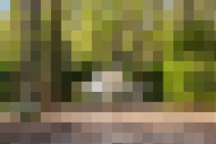 Maarnse Bergweg 1 r 77 Doorn thumbnail 30
