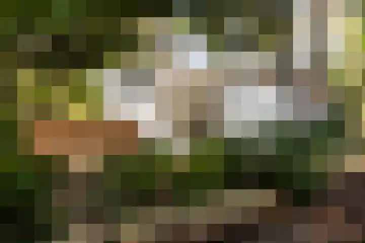Maarnse Bergweg 1 r 77 Doorn thumbnail 5