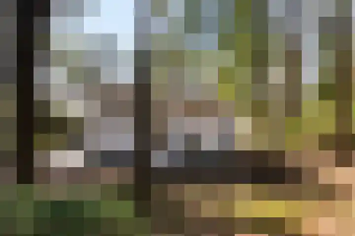 Maarnse Bergweg 1 r 77 Doorn thumbnail 6