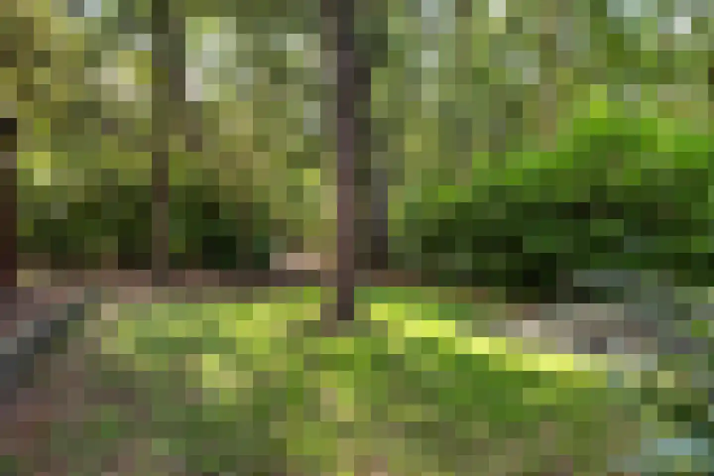 Maarnse Bergweg 1 r 94 Doorn thumbnail 26