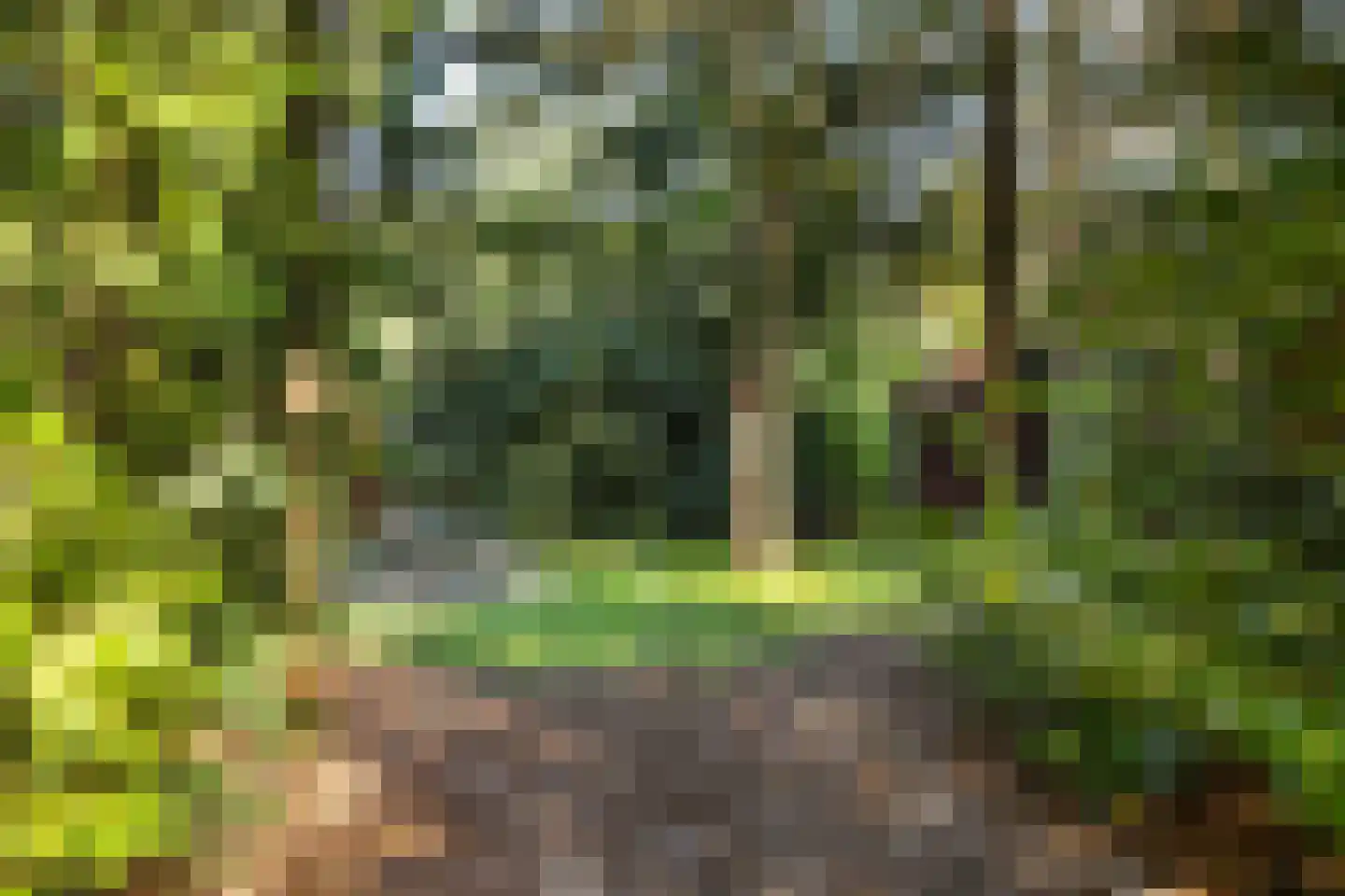 Maarnse Bergweg 1 r 94 Doorn thumbnail 29