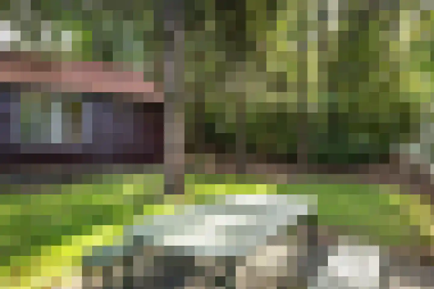 Maarnse Bergweg 1 r 94 Doorn thumbnail 5